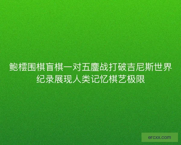 鲍橒围棋盲棋一对五鏖战打破吉尼斯世界纪录展现人类记忆棋艺极限