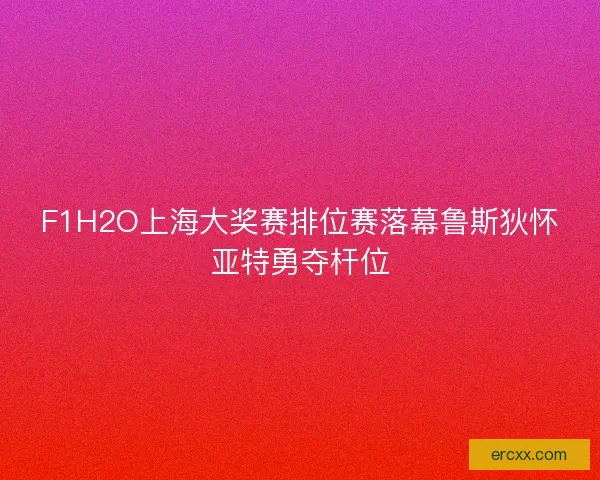 F1H2O上海大奖赛排位赛落幕鲁斯狄怀亚特勇夺杆位